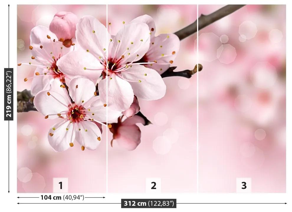 Fotótapéta rózsaszín virág 104x70 cm