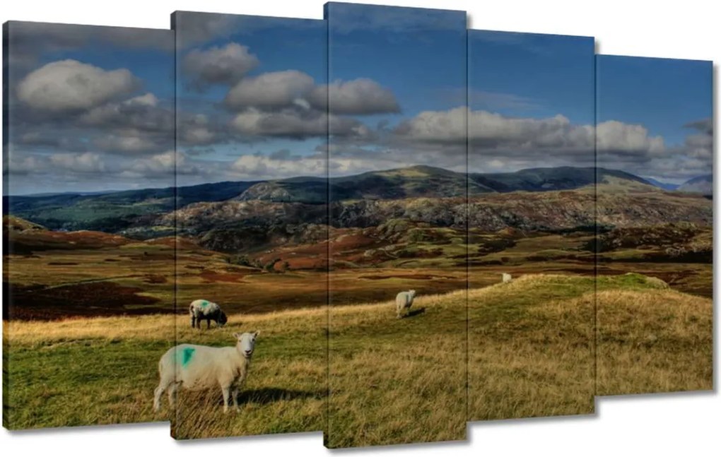 Vászonkép 100x60 Bárányok a legelőn