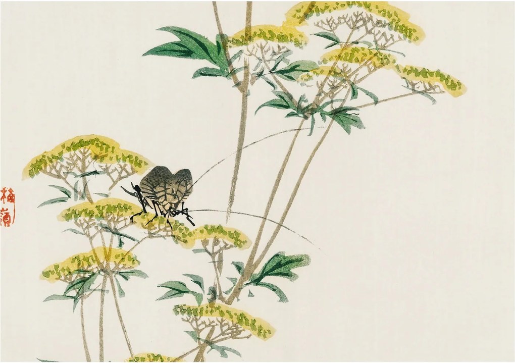 Dekoratív fotótapéta Falra Könnyű Összeszerelés Virágok természet 208x146 Ragasztó