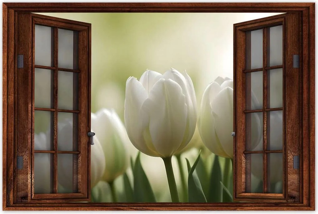 Poszterek 120x80 Fehér tulipánok