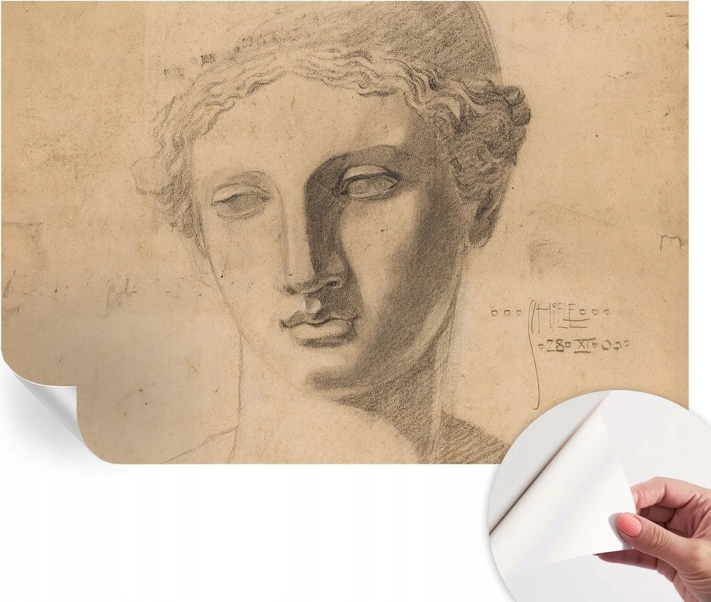 Modern öntapadós fotótapéta Mosható Női portré 104x70 cm