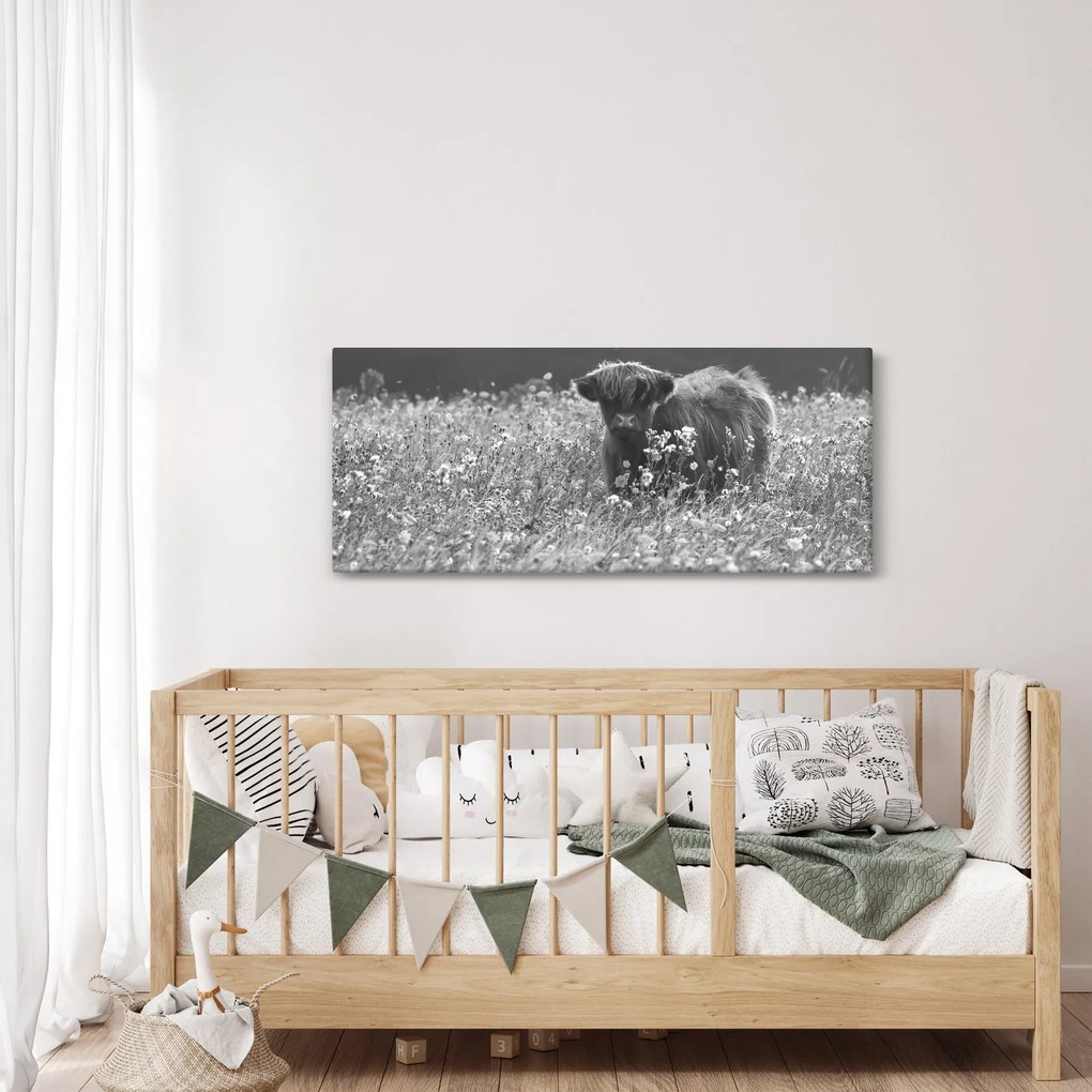 Kép - Skót tehén 5, fekete-fehér (120x50 cm)