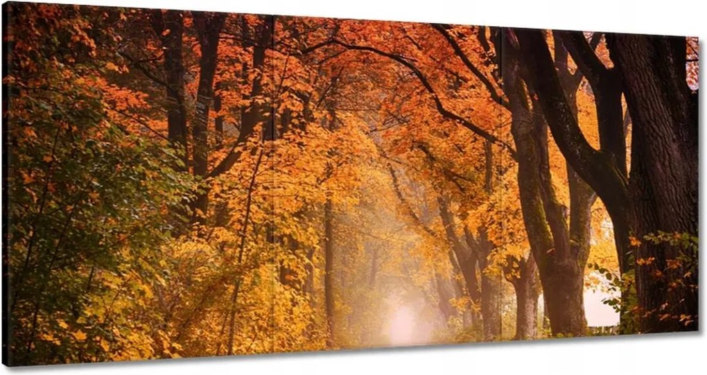 Festmények 120x60 Őszi kilátás