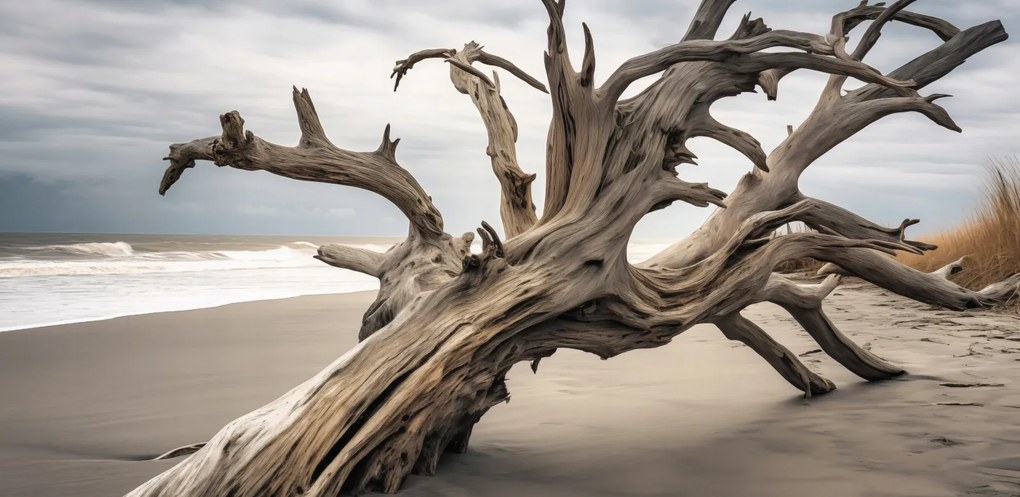 Poszter 91,3x44,5cm Örökkévalóság Elvarázsolva a fában