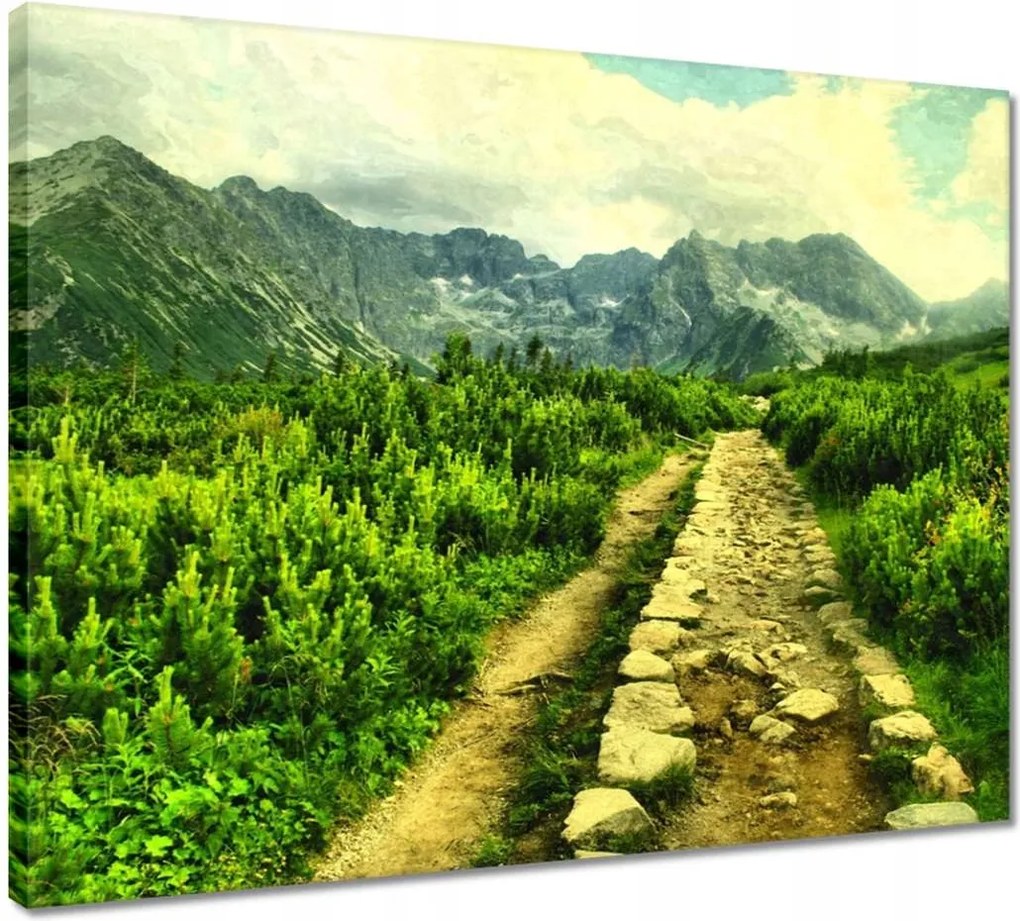 Vászonkép 50x40 Napsütéses nap a Tátrában