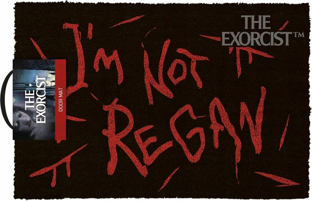 Lábtörlő Ablaktörlő Ajtó Alá Külső Kókusz 60x40 cm