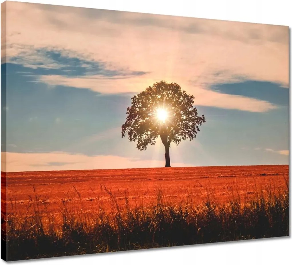 Vászonkép 50x40 Kilátás Tájkép