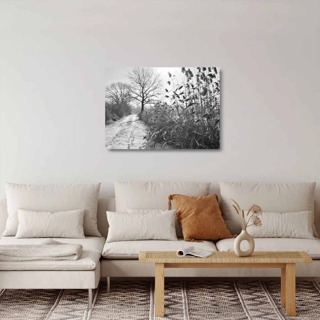 Üveg kép - Mezők télen (70x50 cm)