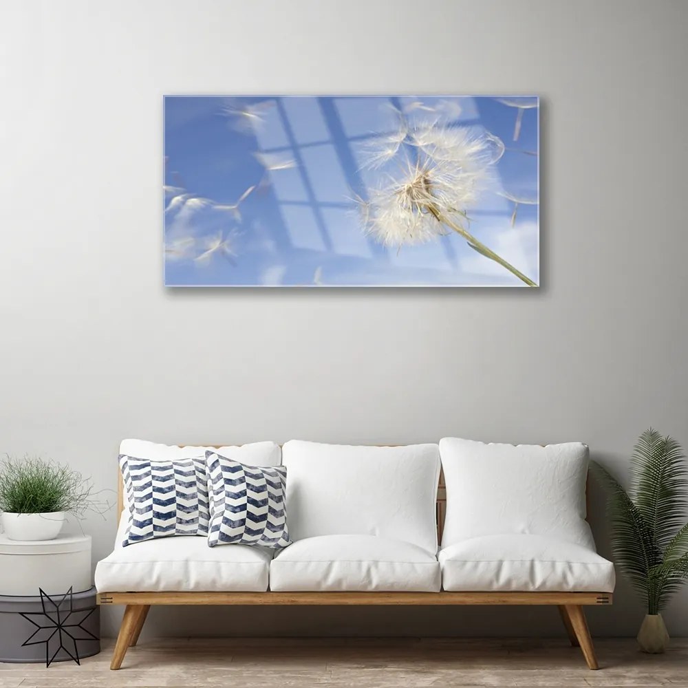 Akril üveg kép pitypang növény 100x50 cm