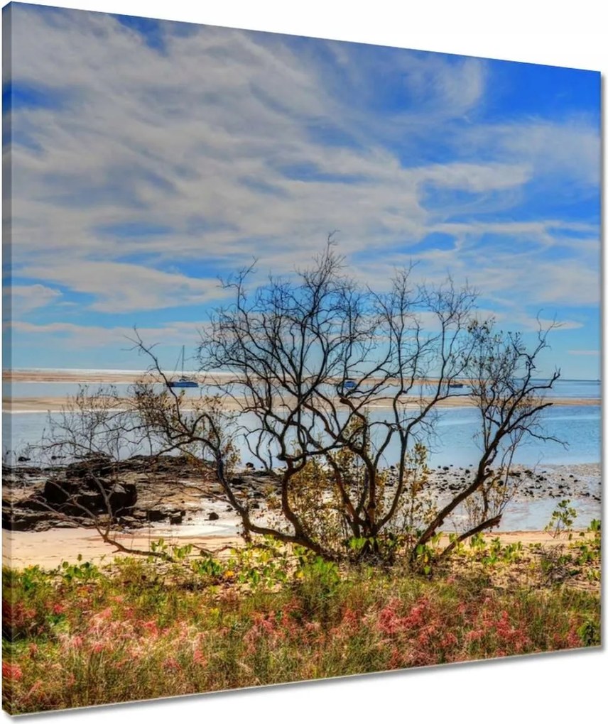 Vászonkép 60x60 Kilátás a tengerpartról