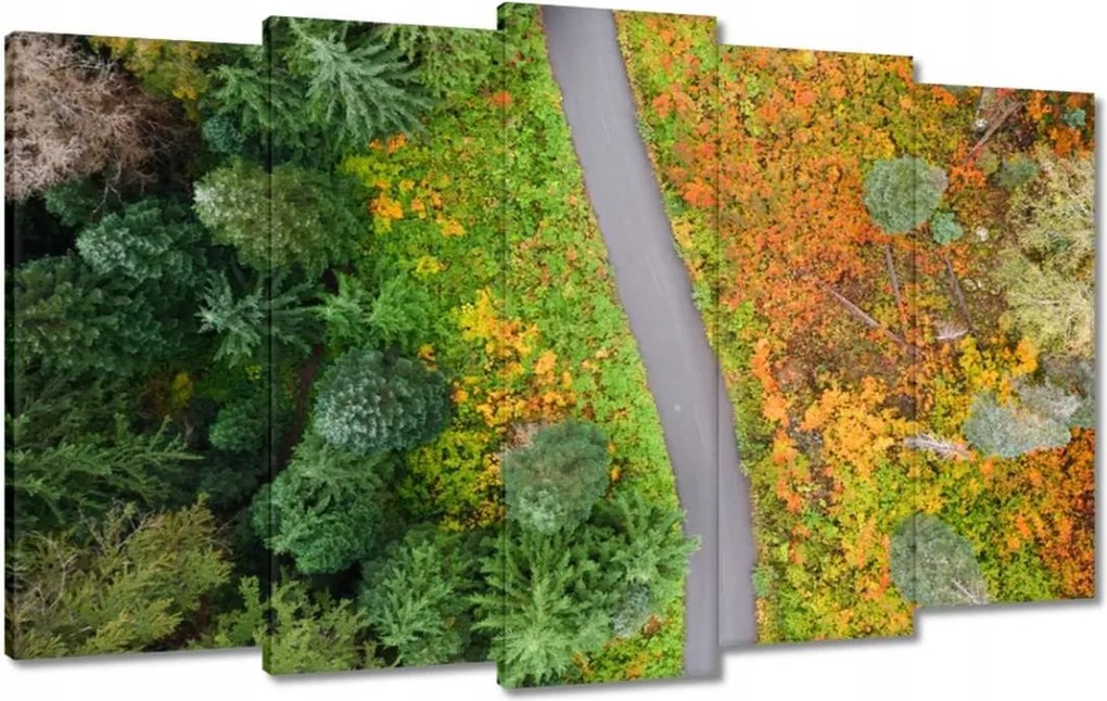 Vászonkép 100x60 Út Erdő Ősz