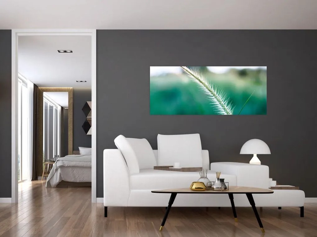 Fűszál képe (120x50 cm)