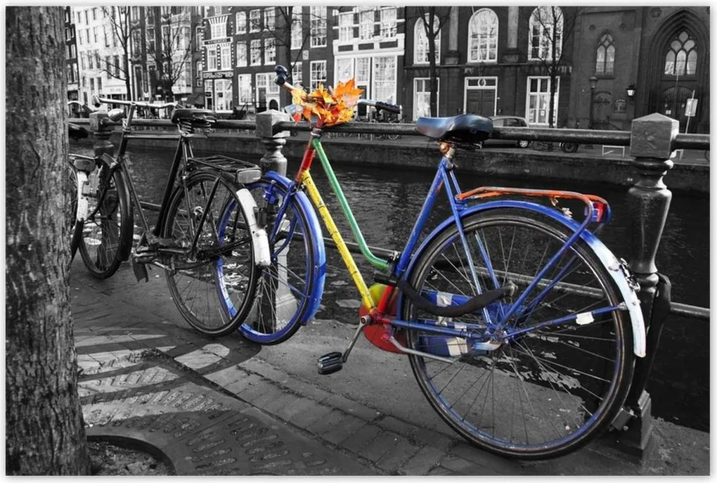 Poszterek 120x80 Őszi levelek