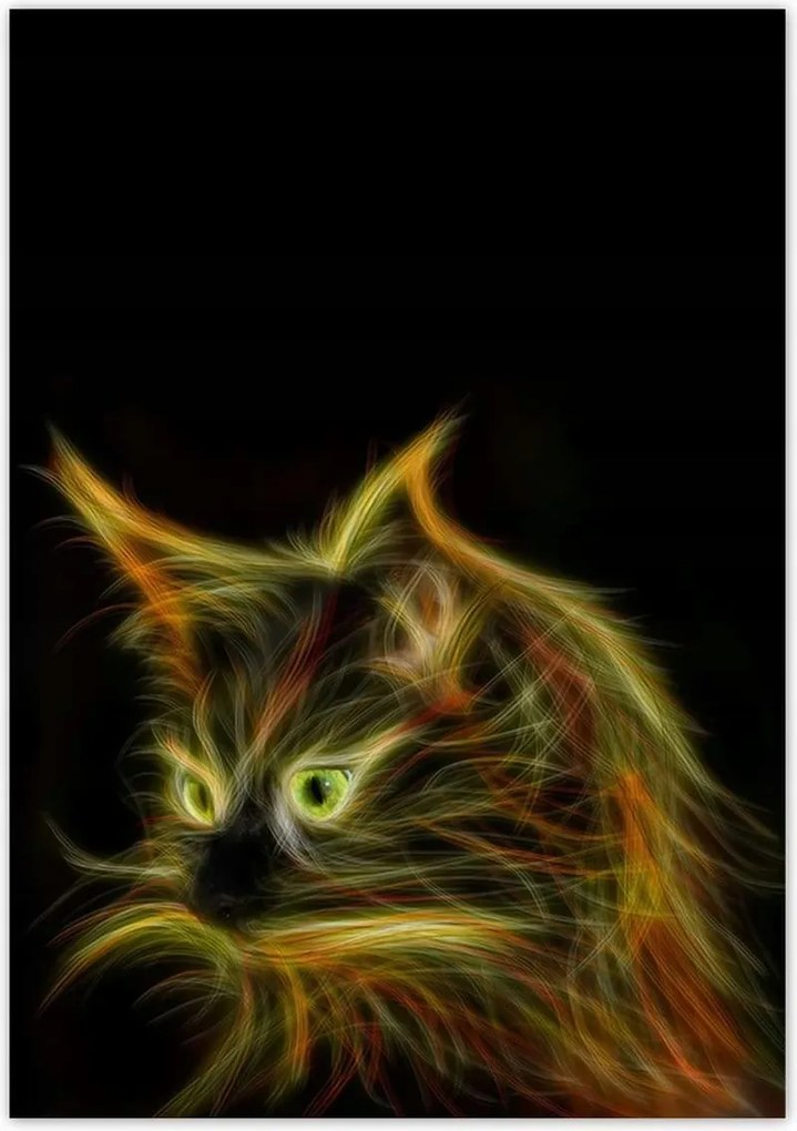 Poszterek 70x100 A földöntúli macska