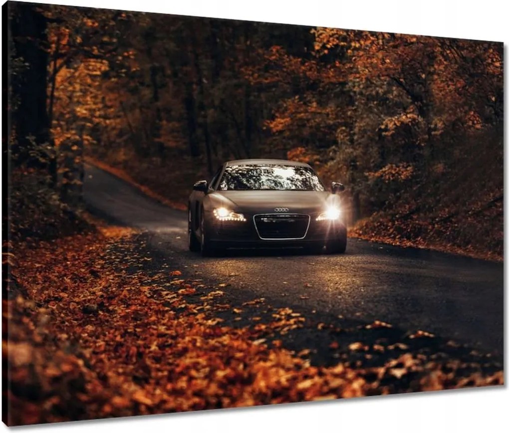 Vászonkép 80x60 Audi Őszi tájkép