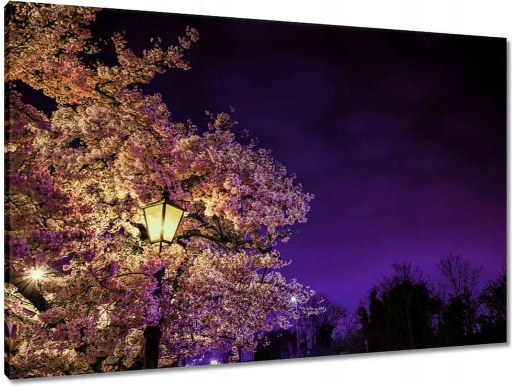 Vászonkép 90x60 Éjszakai motívum a nappaliba