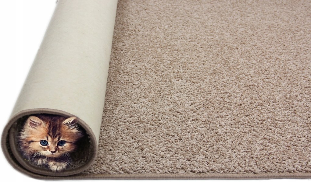 Szőnyeg 2 CM Tampa Szőrös Shaggy Bézs 100x300cm