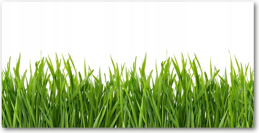 Fotó kép fotó edzett üveg Fű 140x70