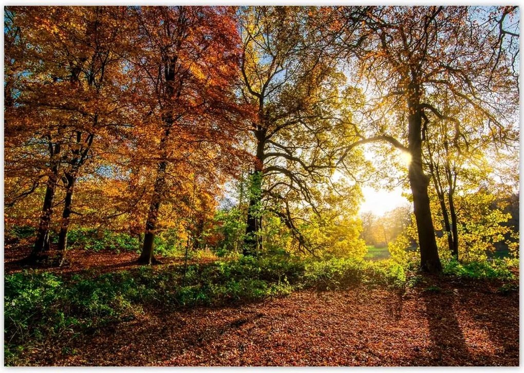 Poszterek 100x70 Tájkép