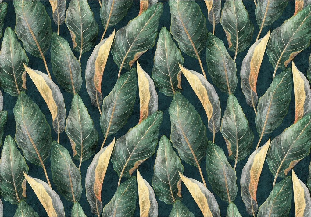 Fotótapéta Trópusi levelek zöld minta sötét háttér 312x219 +ragasztó