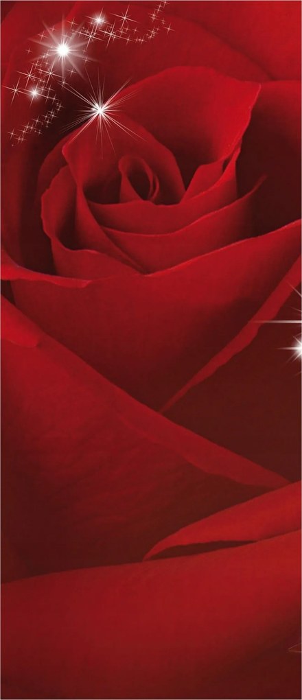 Fotótapéta flizelina Vörös rózsák elegancia és ragyogás a falakon 91x211 +ragasztó