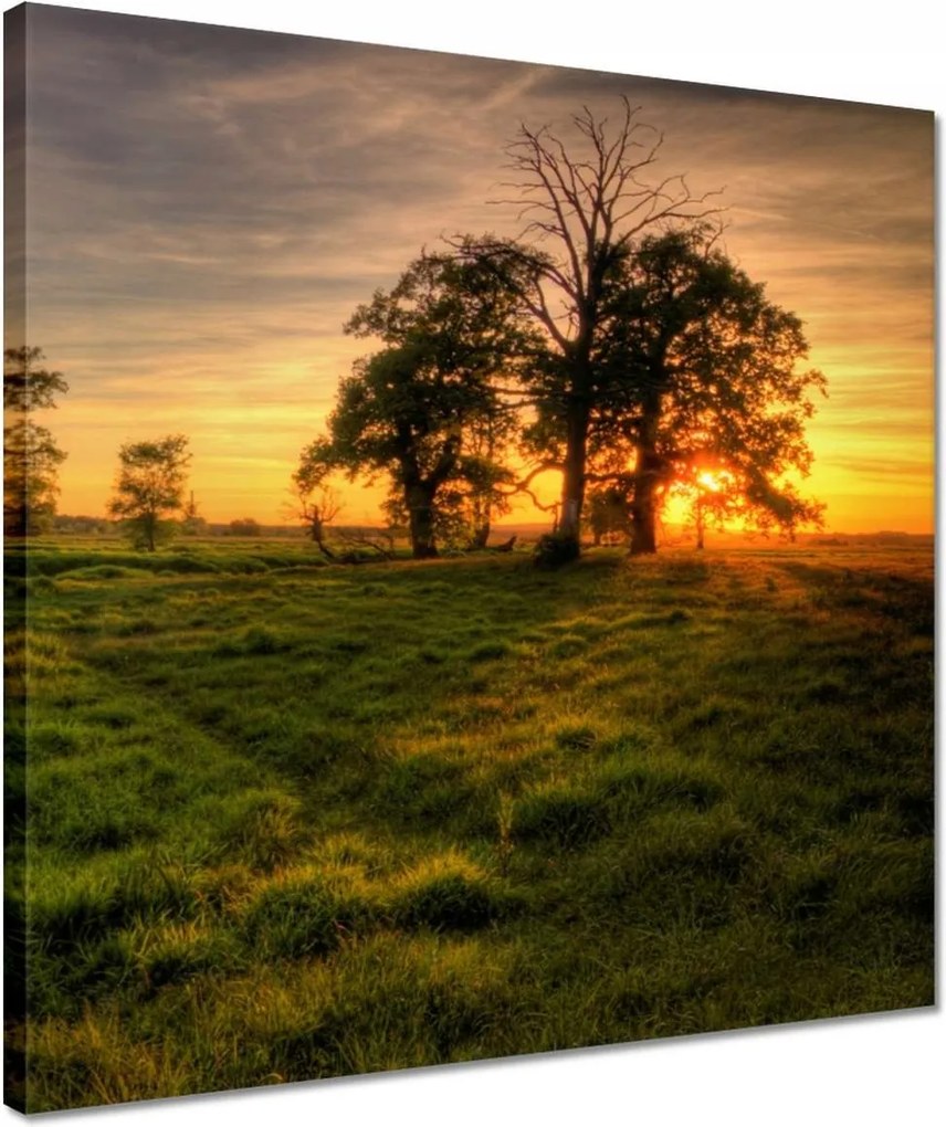 Vászonkép 40x40 Naplemente a croissant-ban