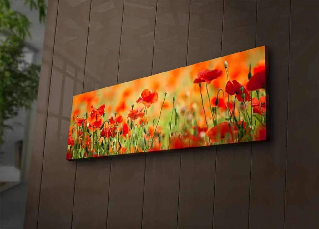 Vászonkép, 30×90 cm – TR239SHN1213