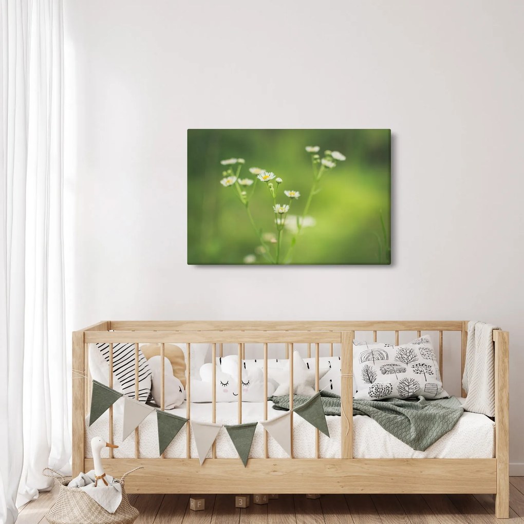 Egy százszorszép képe (90x60 cm)