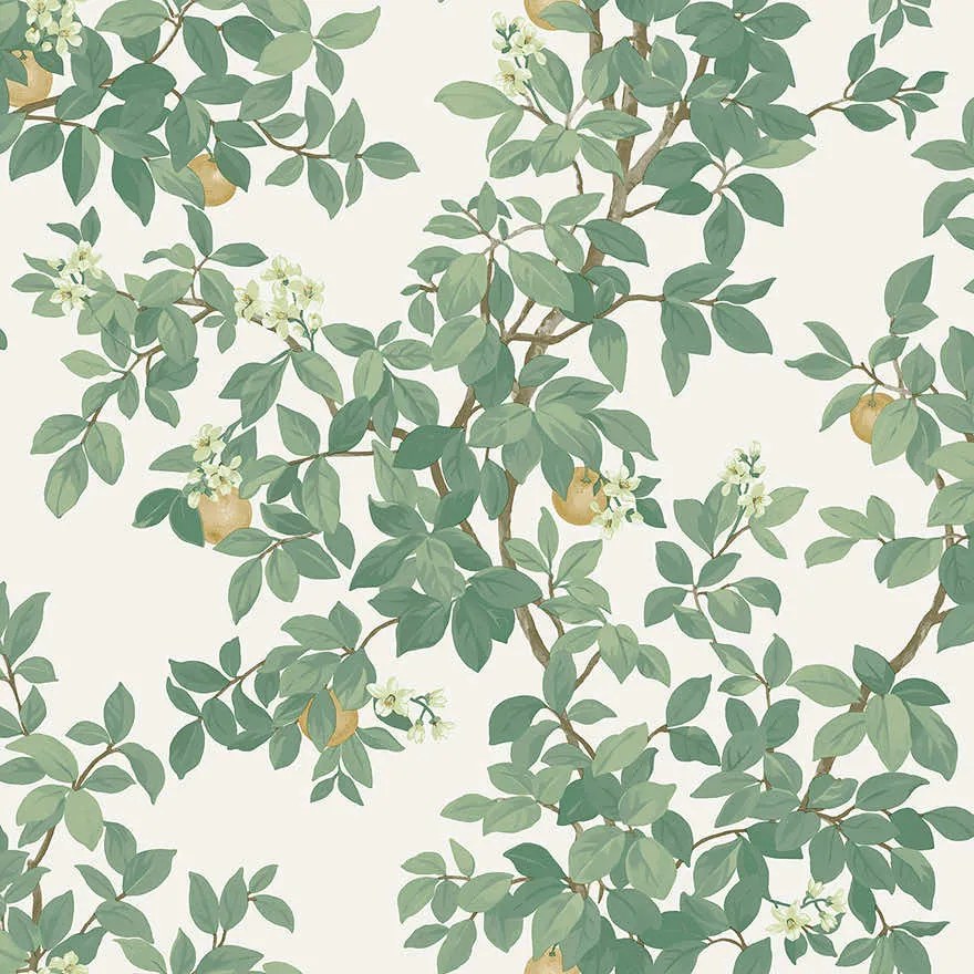 Holden Decor Imaginarium 3 Orange Tree krém-zöld gyümölcsös papír tapéta – 14240