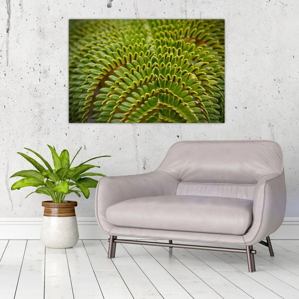 Kép - Fern (90x60 cm)