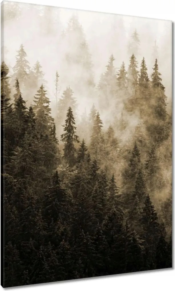 Vászonkép 70x100 Tájkép Szépia Hegyek Köd