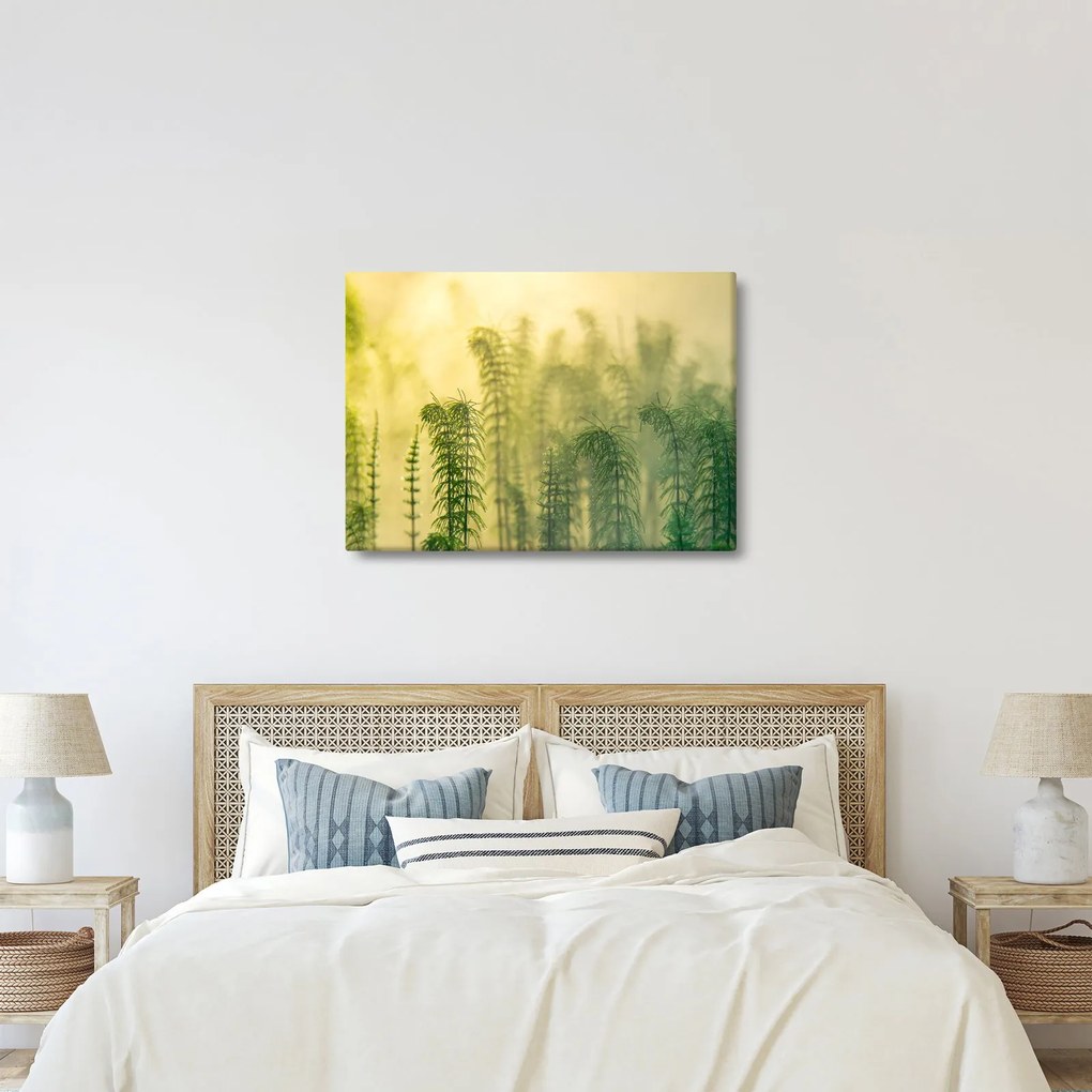 Kép - Részlet a tavaszi ködös természetből (70x50 cm)