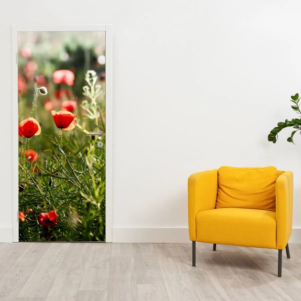 Fotótapéta ajtóra - Pipacsok (95x205cm)