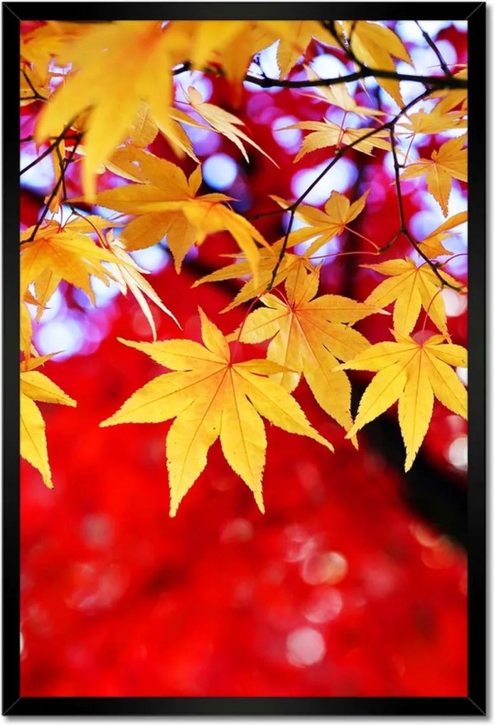 Poszter keretben 40x60 Sárga őszi levél