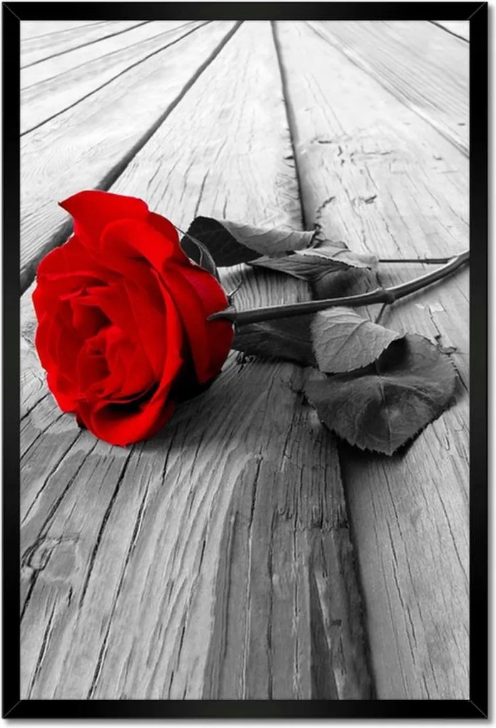 Poszterek keretben 40x60 Vörös rózsa a fán