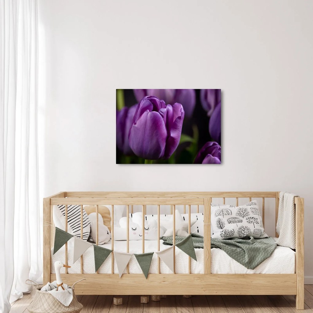 Tulipán vírág képe (70x50 cm)