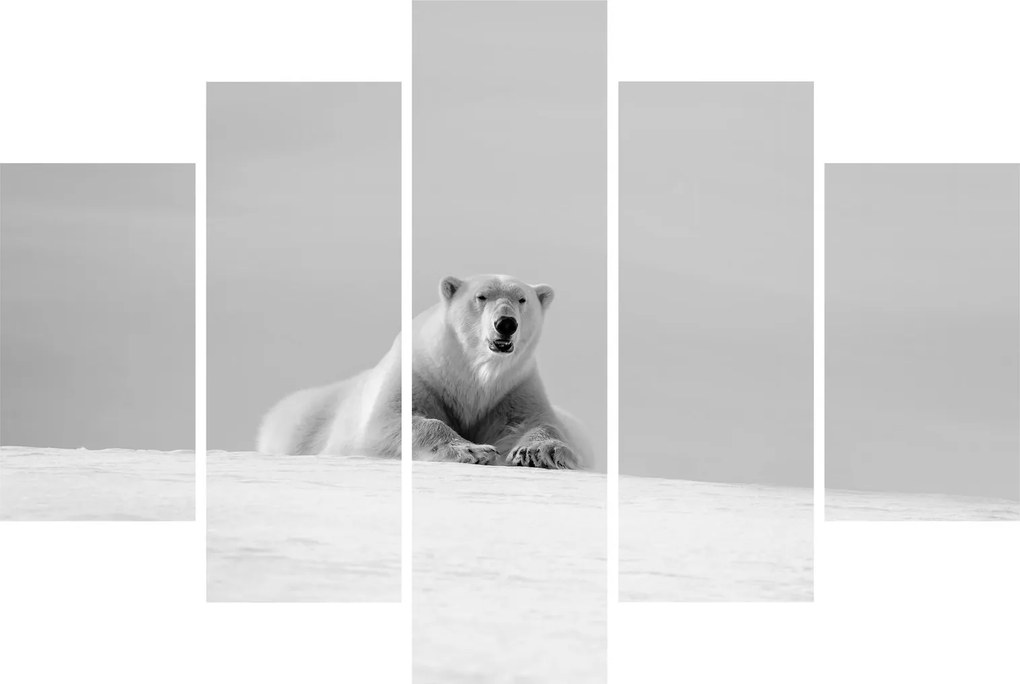 Kép - Jegesmedve (150x105 cm)