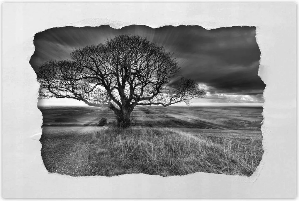 Poszterek 90x60 Gyönyörű naplemente