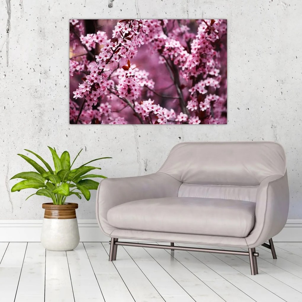 Kép - Rózsaszín sakura (90x60 cm)