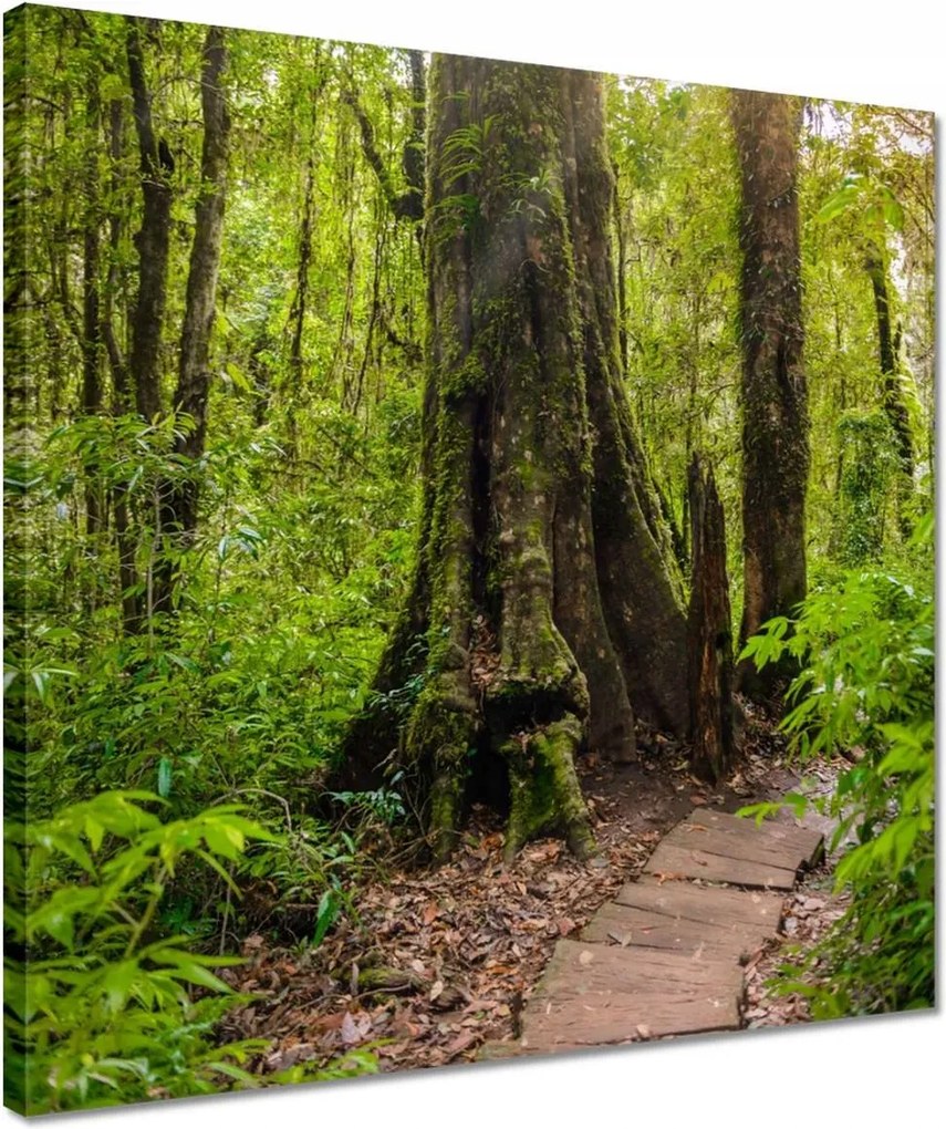 Vászonkép 40x40 Gyalogtúra