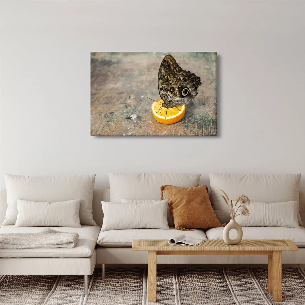 Pillangó képe (90x60 cm)