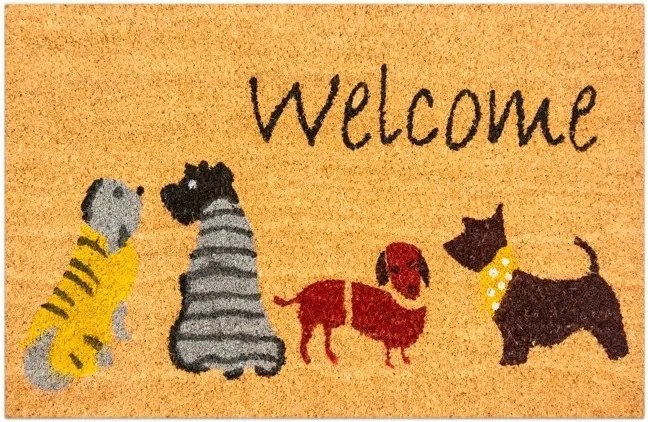 Lábtörlő Cipőkhöz 60x40CM Welcome Kókuszszőnyeg