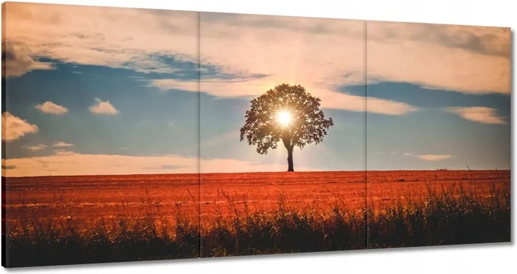 Festmények 120x60 Kilátás Tájkép