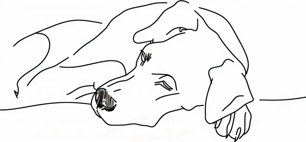 Poszter 67,5x95cm Kutya pihenés