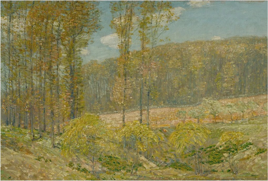 Dekoratív Fotótapéta Hálószobába Erdei tájkép 104x70 Ragasztó