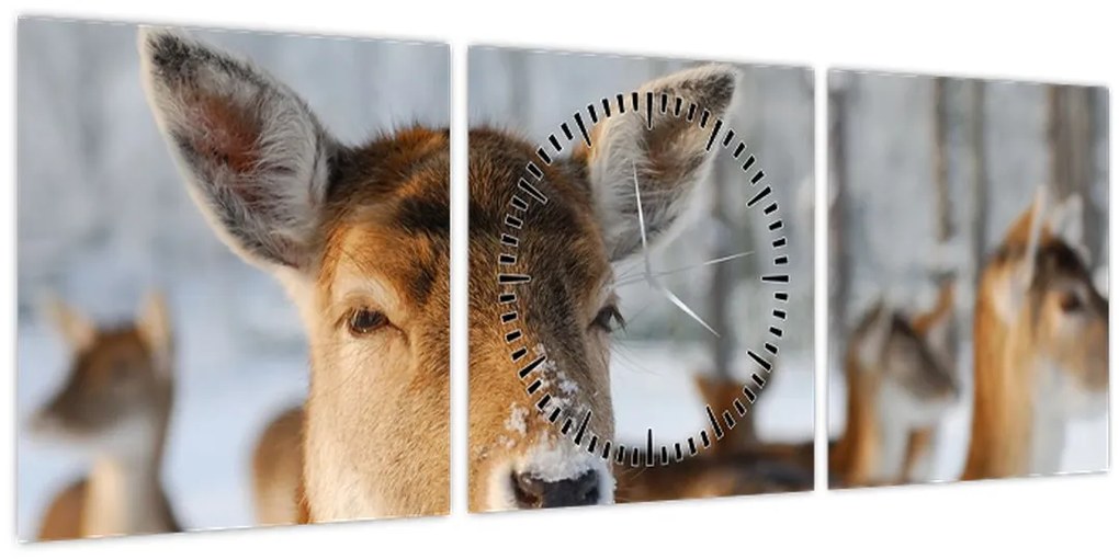 Kép - Szarvas (órával) (90x30 cm)