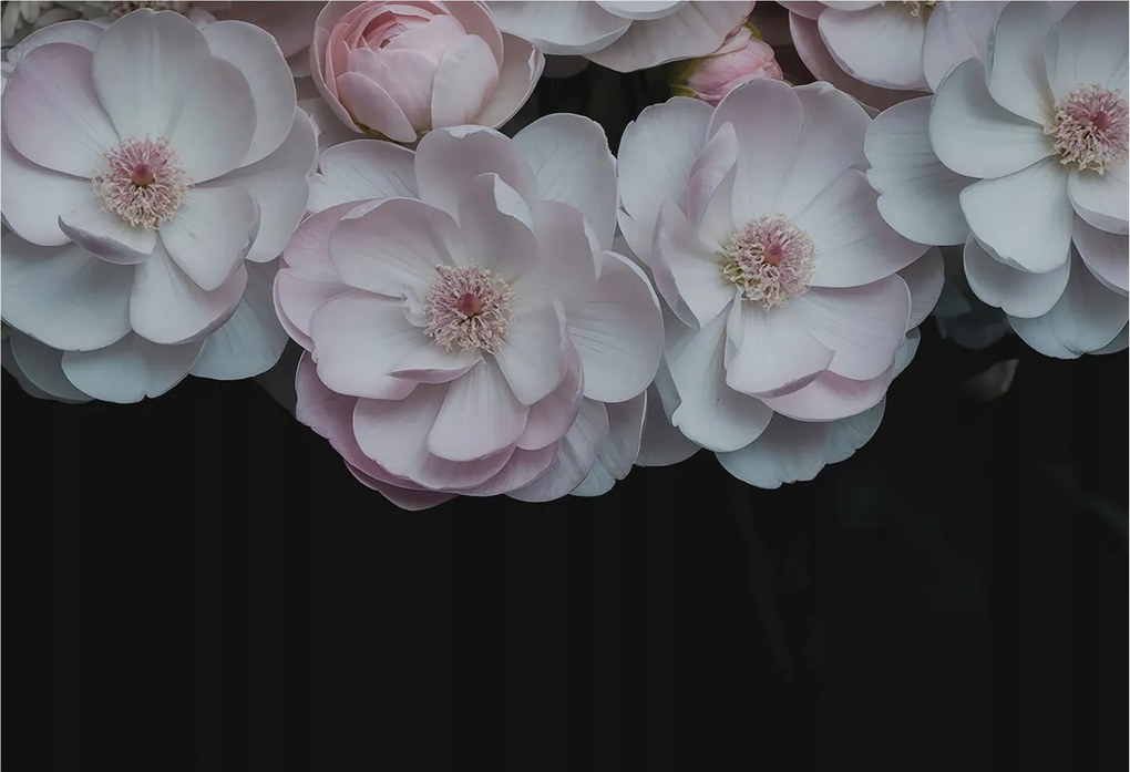 Divatos 3D Fali Tapéta Finom csokor 152x104 Ragasztóval