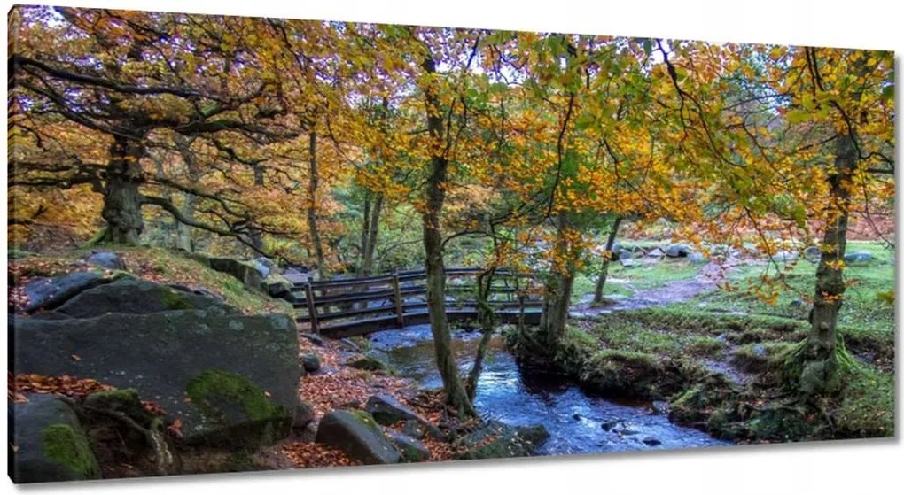 Képek 115x55 Híd a parkban