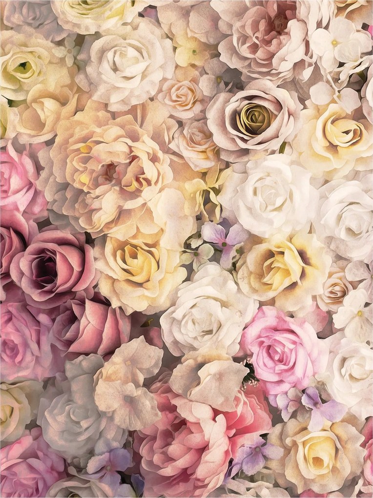 Flizelin fotótapéta Rózsa Kert Virágos szimfónia a falakon 184x254 +ragasztó
