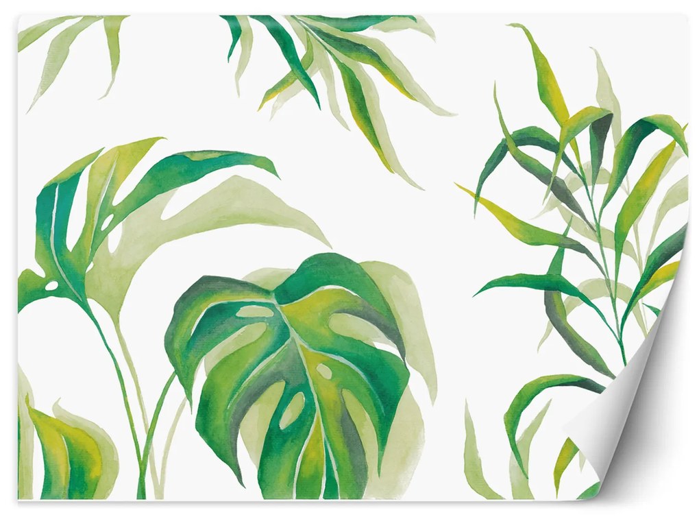 Gario Fotótapéta Monstera levelek fehér alapon Anyag: Vlies, Méret: 100 x 70 cm